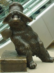 Paddington Bear