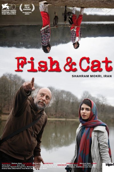 Fish & Cat