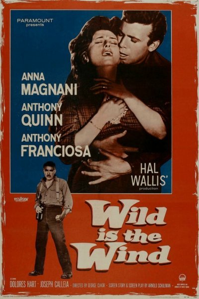 Wild Is the Wind