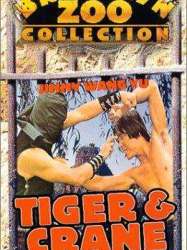 Tiger & Crane Fists