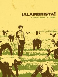 Alambrista!