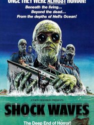 Shock Waves