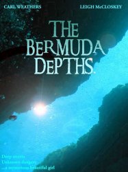 The Bermuda Depths