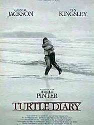 Turtle Diary