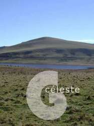 Céleste