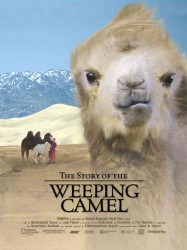 The Story of the Weeping Camel