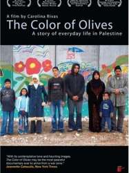 The Colour of Olives