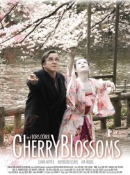 Cherry Blossoms