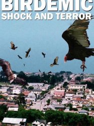 Birdemic: Shock and Terror