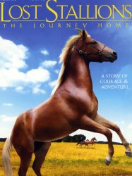 Lost Stallions: The Journey Home