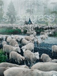 Sweetgrass