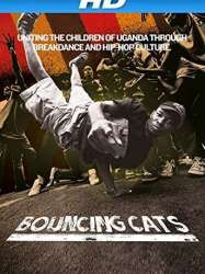 Bouncing Cats