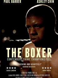 The Boxer