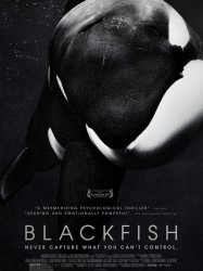 Blackfish