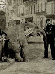 Bout de Zan Steals an Elephant