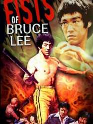 Fists Of Bruce Lee