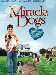 Miracle Dogs