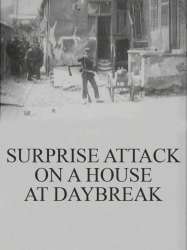 Surprise Attack on a House at Daybreak