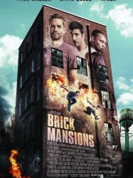 Brick Mansions