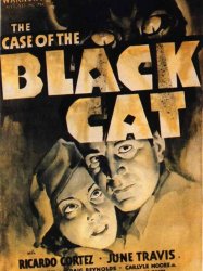 The Case of the Black Cat