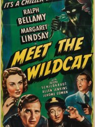 Meet the Wildcat