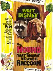 The Hound That Thought He Was a Raccoon