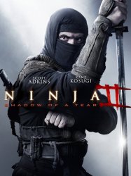 Ninja: Shadow of a Tear