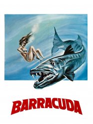 Barracuda