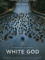 White God