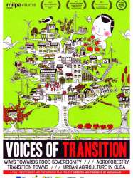 Voices of Transition