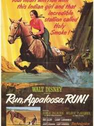 Run, Appaloosa, Run!