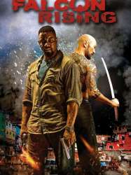 Falcon Rising