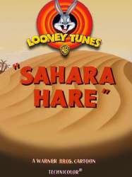 Sahara Hare