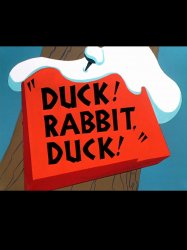 Duck! Rabbit, Duck!