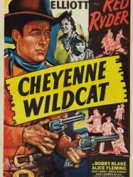 Cheyenne Wildcat