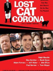 Lost Cat Corona