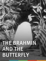 The Brahmin and the Butterfly
