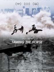 Taming the Horse