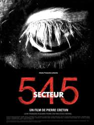 Secteur 545