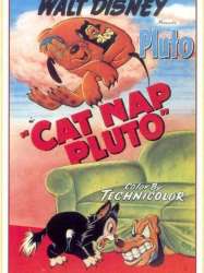 Cat Nap Pluto