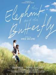 The Elephant and the Butterfly