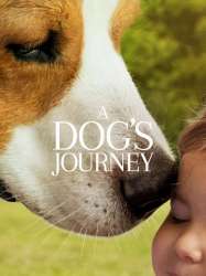 A Dog's Journey