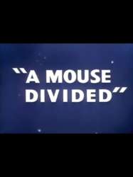 A Mouse Divided