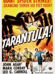 Tarantula