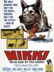 Nikki, Wild Dog of the North