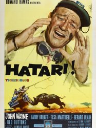 Hatari!