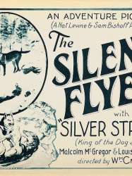 The Silent Flyer