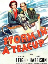 Storm in a Teacup