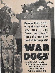 War Dogs