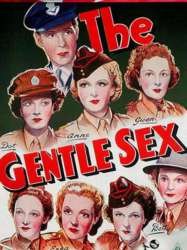 The Gentle Sex